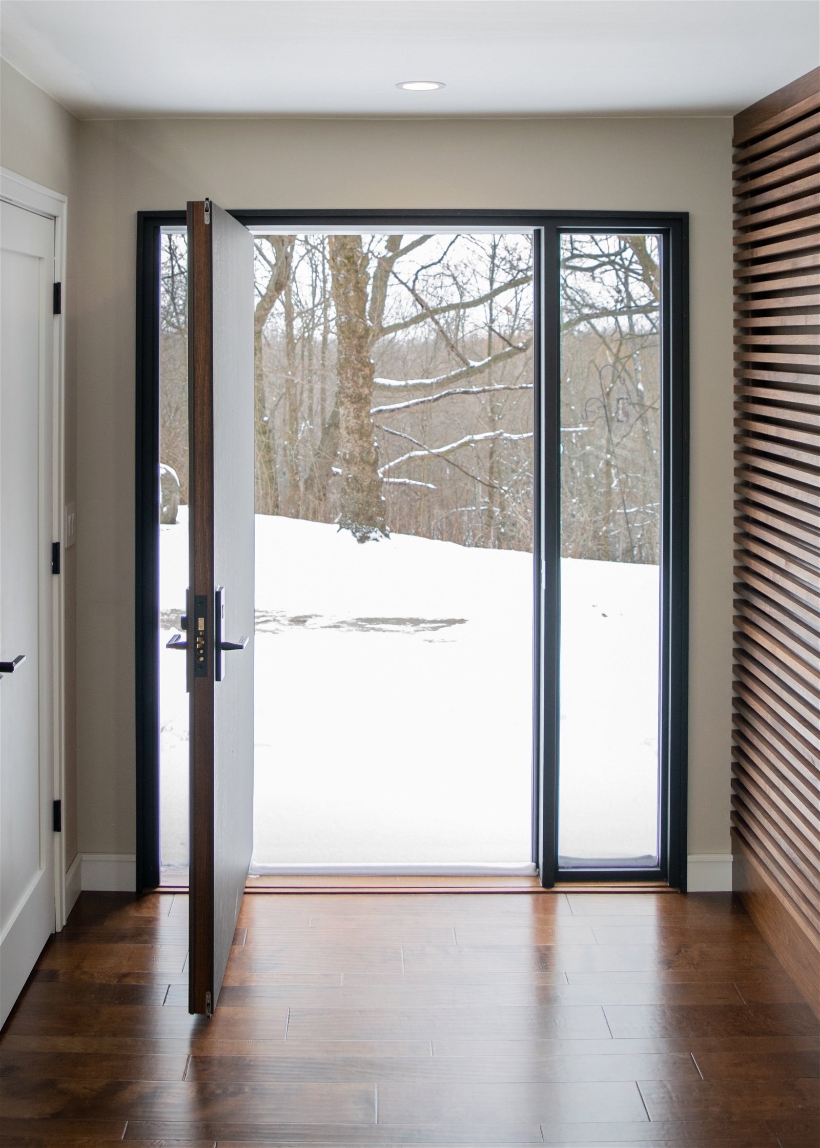 door in the snow with FritsJurgens pivot hinge System M