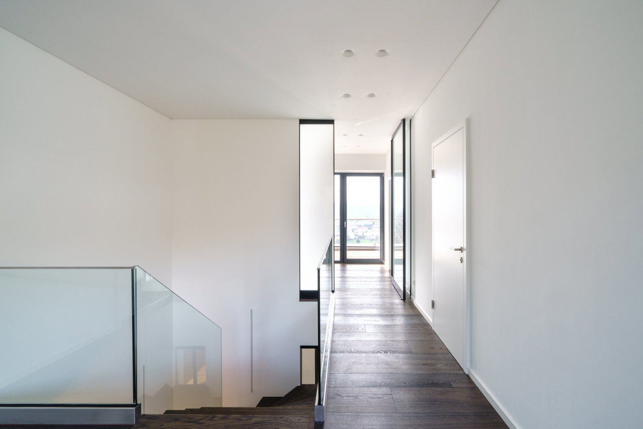 Steel and glass pivot door in a private home in Graz with FritsJurgens System M pivot hinge system inside