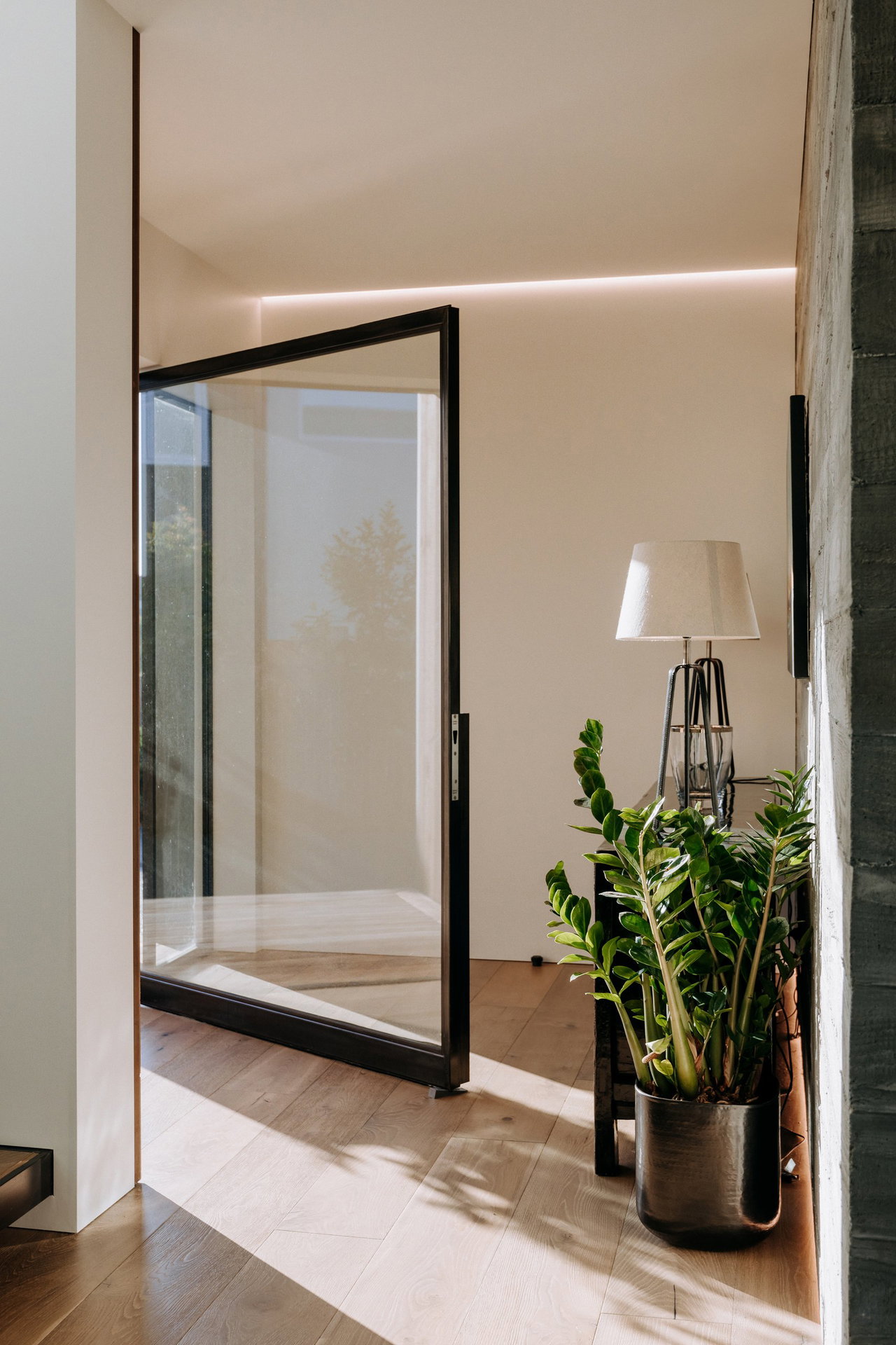 Steel and glass pivot door in a private home in Bowentown with FritsJurgens System M+ pivot hinge system inside