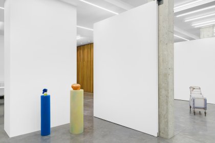 Pivottür aus Holz in einem öffentlichen Gebäude in Brussels mit FritsJurgens System One Pivot-Scharniersystem im Inneren