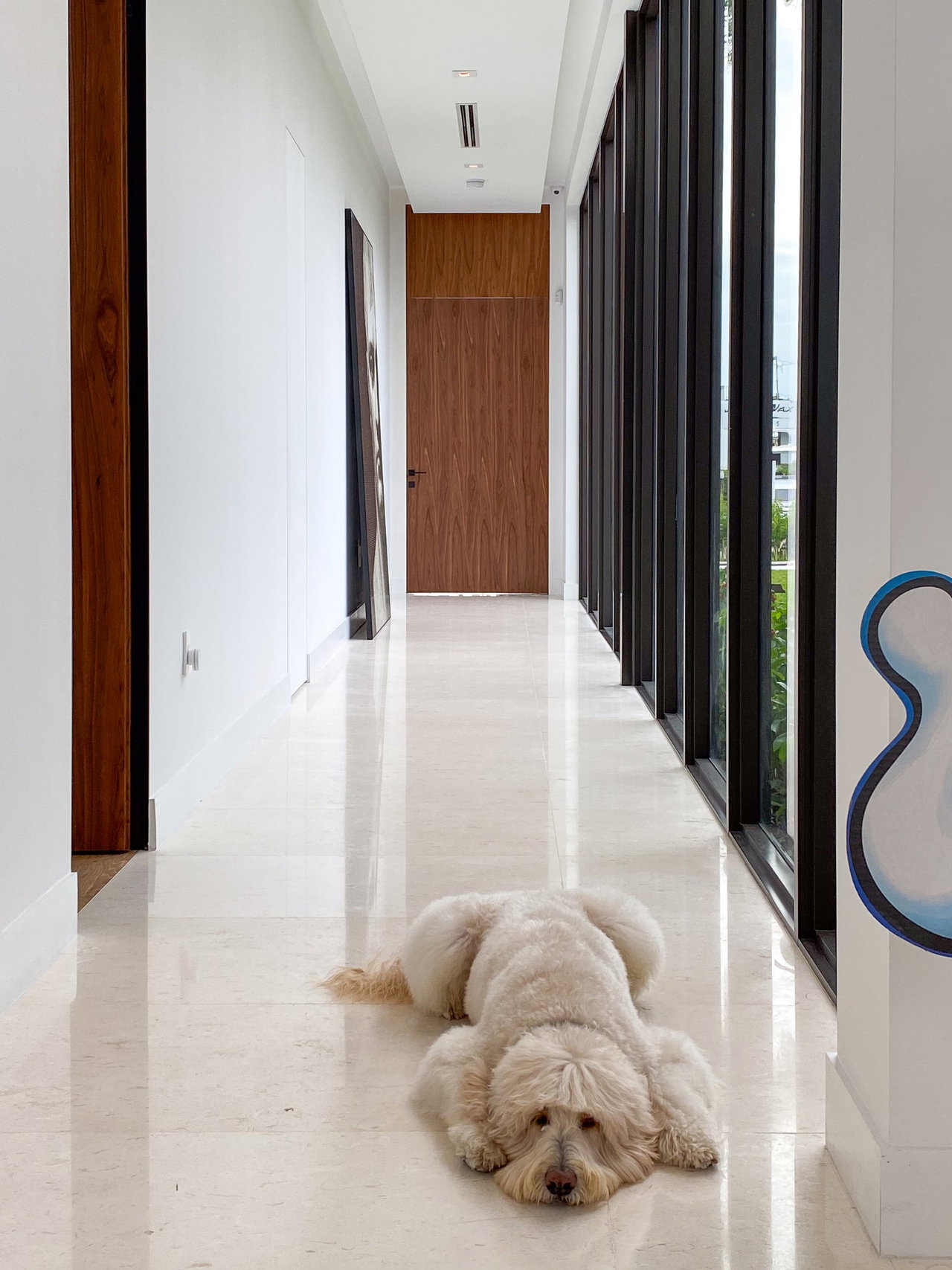 Wooden pivot door in a private home in Miami with FritsJurgens System One pivot hinge system inside